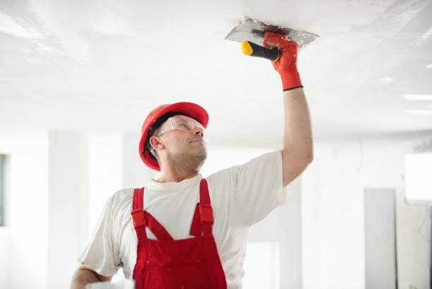 Professional Drywall & Painting Services in Mead Valley, CA